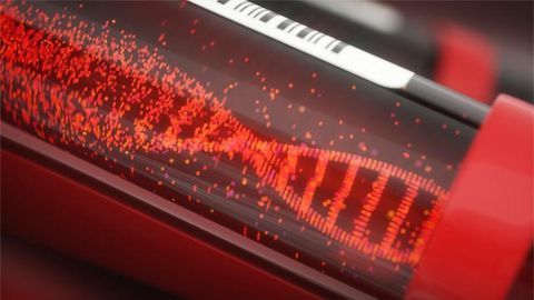 Blood Samples Help Match Cancer Patients to Early Phase Clinical Trials