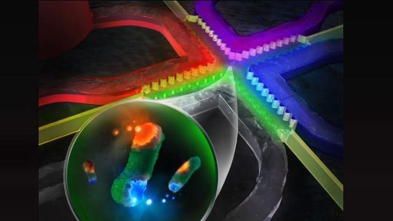 On-chip Drug Screening for Identifying Antibiotic Interactions in Eight Hours