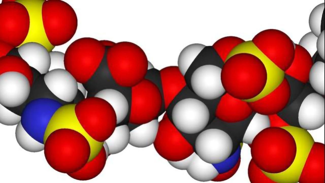 Sugar Shock Leads to Memory Loss