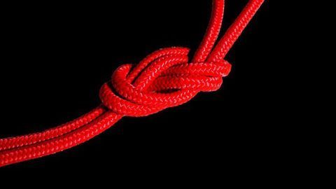 How Cells Keep DNA Tangle-free