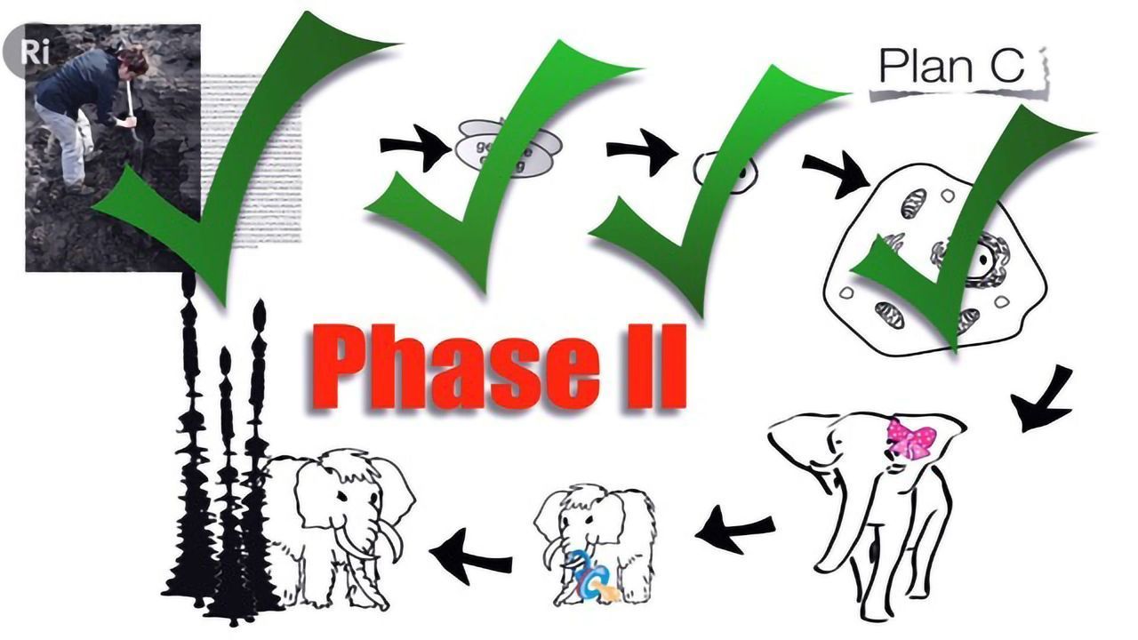 How to Clone a Mammoth: The Science of De-extinction