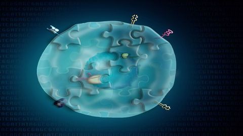 Interrogation of Single Cells Taken One Step Further With ECCITE-Seq