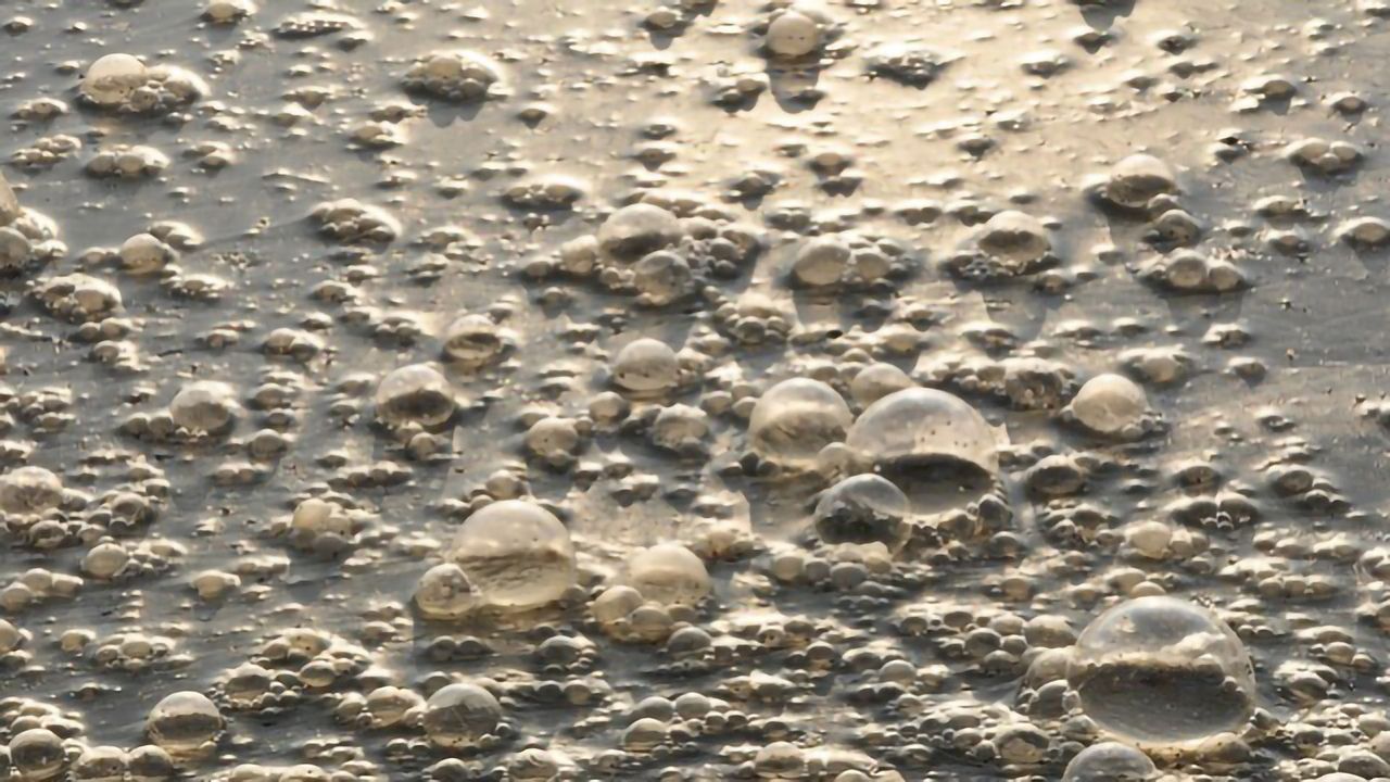 Nanomaterials in Wastewater: Emerging Contaminant or Promising Treatment?