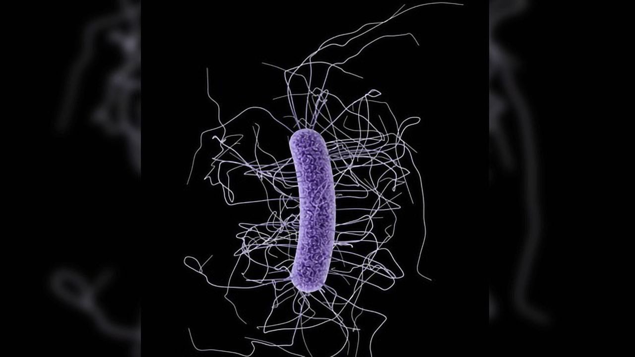 Reasons Why Some People Are More Susceptible to C. diff