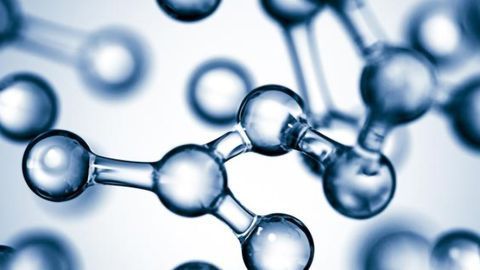 Project Set to Revive Natural Product Discovery