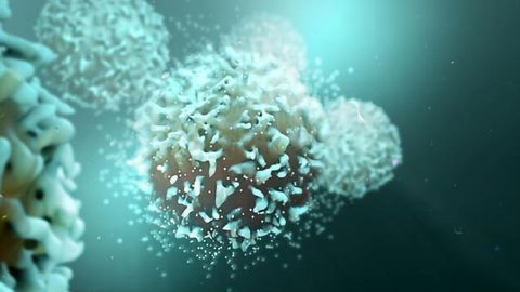 New Version of CAR T-Cell Therapy Eliminates Severe Side Effects