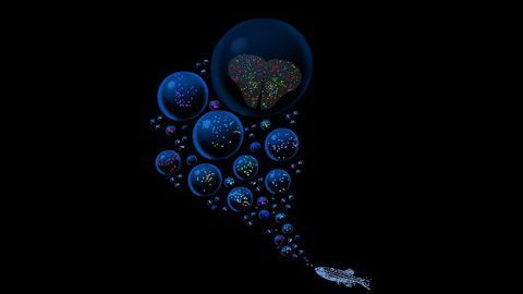 Fishy Findings in Alzheimer's Disease