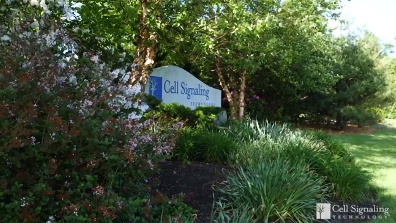 Cell Signaling Technology Announces New Corporate Partners