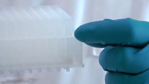 Highly Effective Protein Clean-Up Microplate