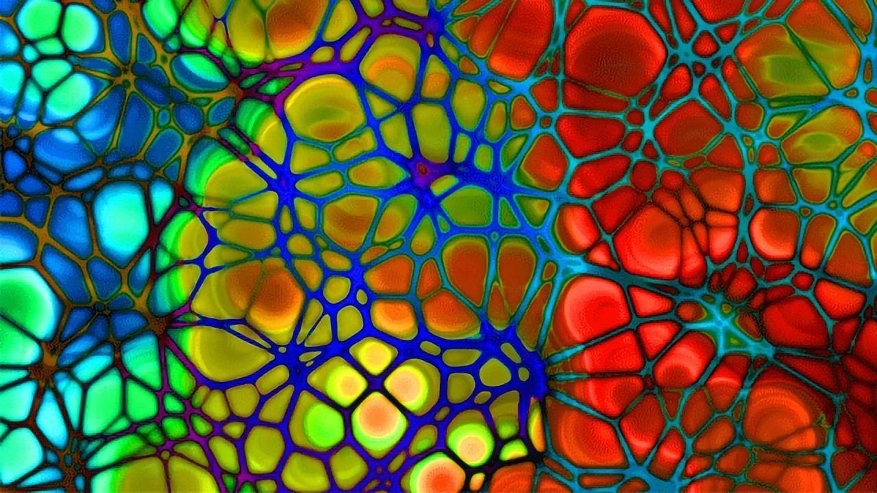 How "Bad Cholesterol" Enters Artery Walls to Drive Plaque Development