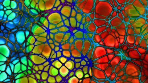 How "Bad Cholesterol" Enters Artery Walls to Drive Plaque Development