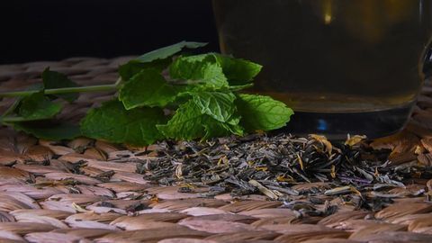 Unlocking the Ancient Secrets of Medicinal Mint