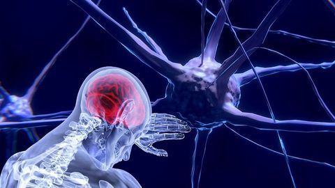 How a Shrub May Enable the “Impossible” in Treating Addiction