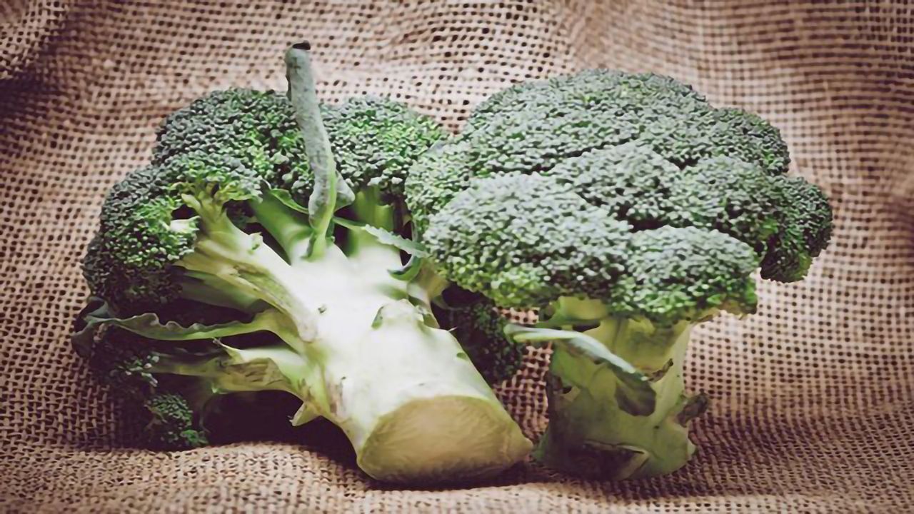 Are Regulations on Genetically Modified Organisms Holding Back Agricultural Innovation?