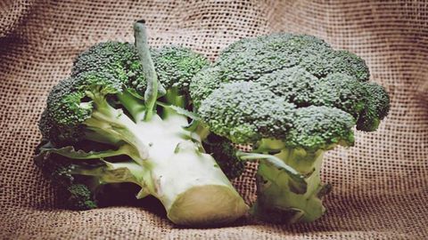 Are Regulations on Genetically Modified Organisms Holding Back Agricultural Innovation?