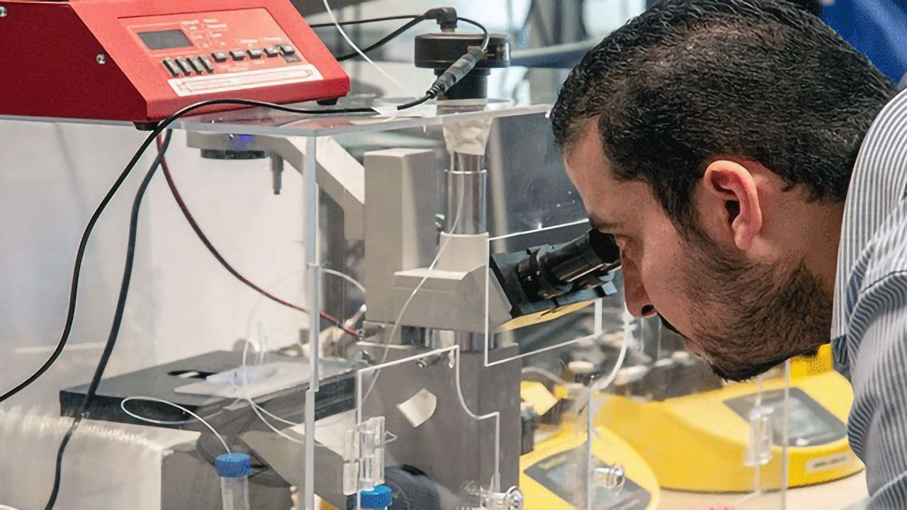 Injectable Tissues Closer to Reality With Cell-encapsulating Device