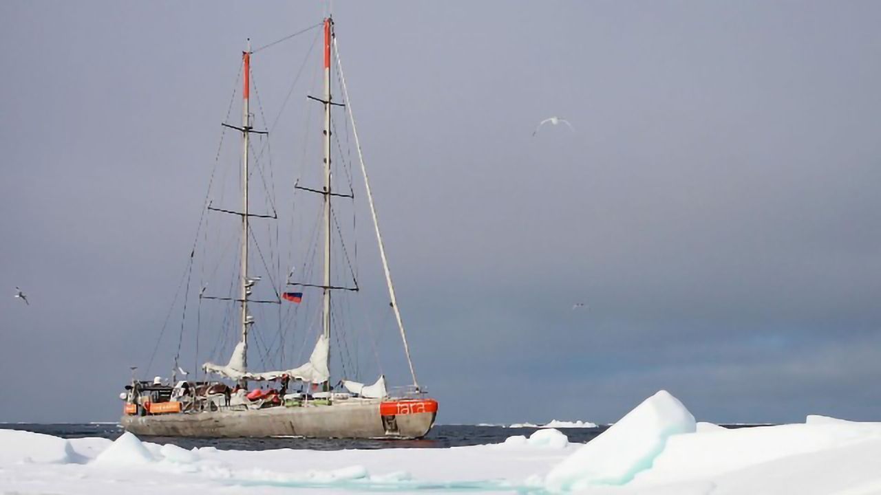 Marine Viruses Detailed From Pole to Pole
