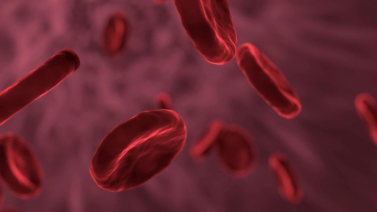 Blood Clots Reduced in Model of Autoimmune Condition