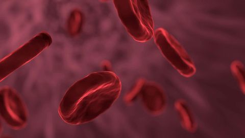 Blood Clots Reduced in Model of Autoimmune Condition
