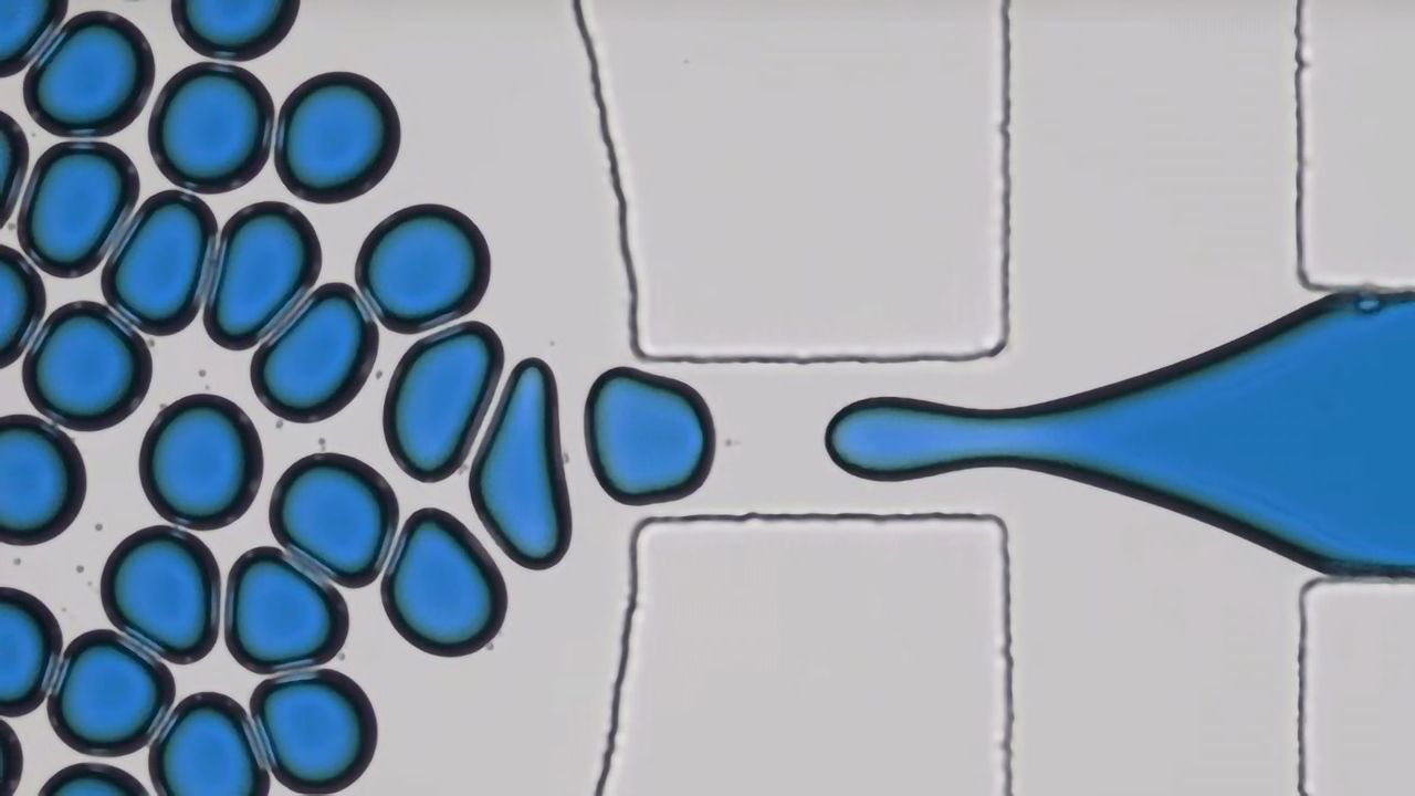 Microfluidics Adventures Part 3: Microfluidic Chips