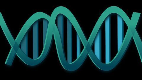Circular RNAs Have Important Role in Innate Immunity