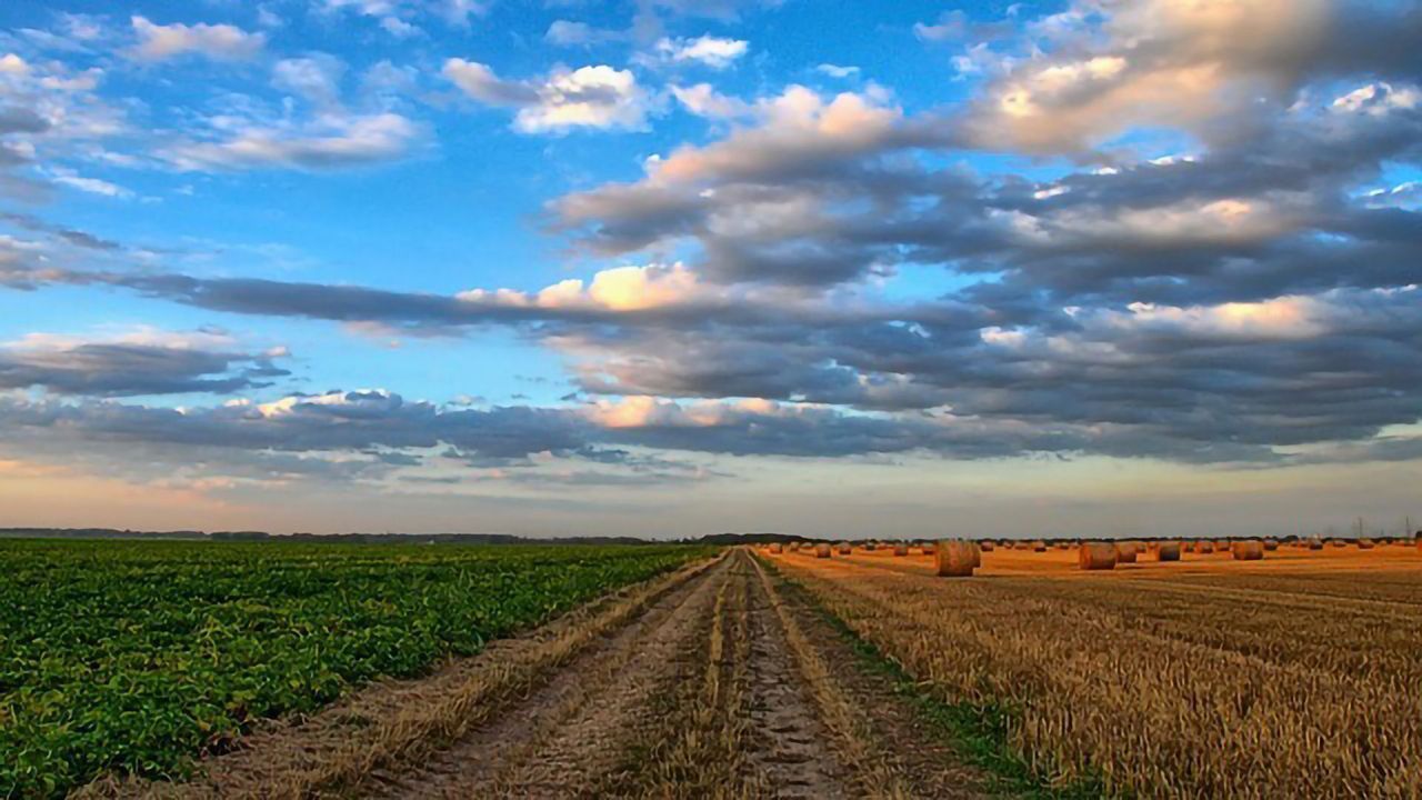 The Word on Everyone’s Lips: Sustainability