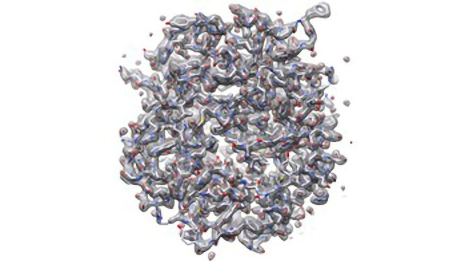 First-of-its-kind Commercial MicroED Solution Helps Researchers Quickly Resolve Organic and Inorganic Molecular Structures at Atomic Resolution content piece image