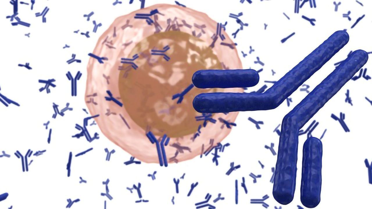 Antibodies in Research: The Good, the Bad, and the Validation Epidemic
