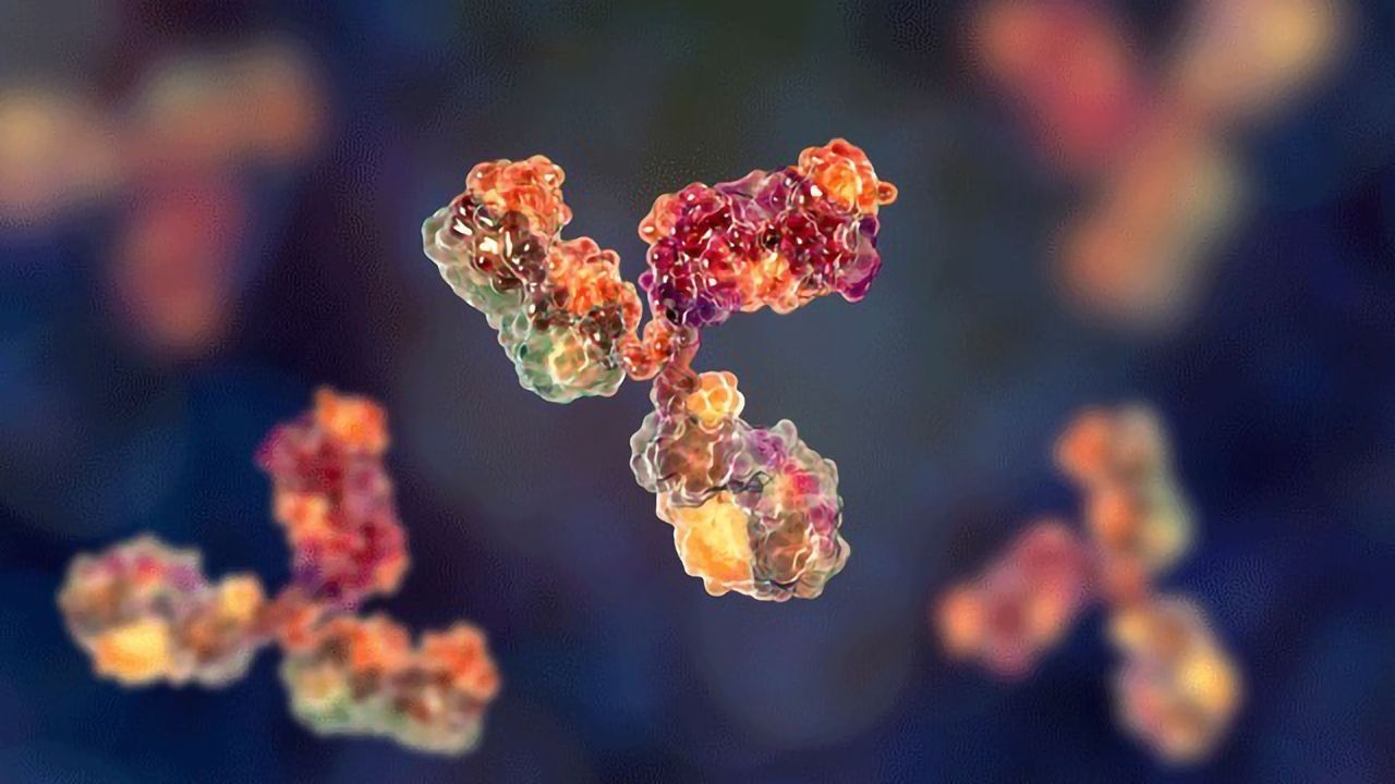 Tips for Antibody Validation