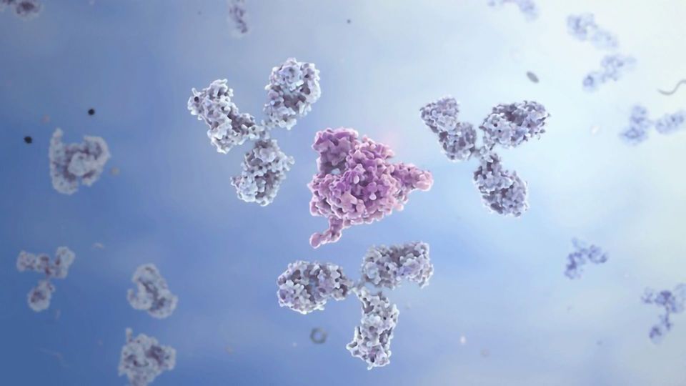 Entering the Antibody Lottery: Tips for Avoiding Dubious Sources content piece image