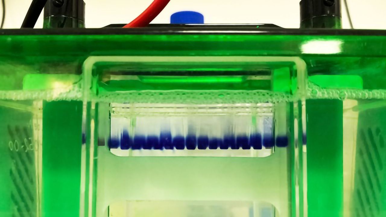 Essential Guide for Improving Your Protein Gels