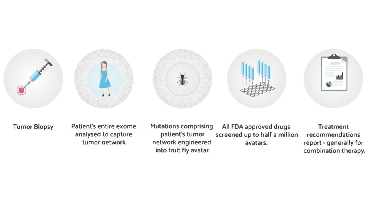My Personal Therapeutics Announces Funding and Secures Exclusive Mount Sinai School of Medicine Technology License to Revolutionize Personalized Cancer Treatment