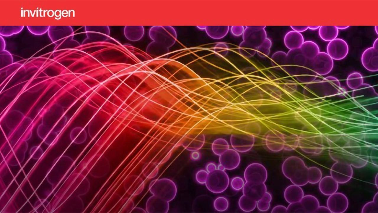 How To Pick The Perfect Flow Cytometer for Your Needs
