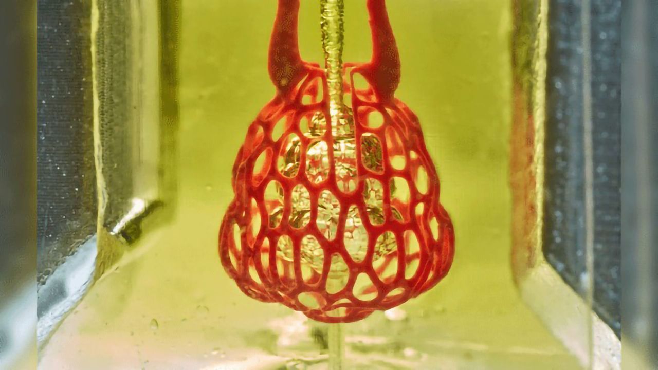 When Art Meets Science and Food Coloring, Bioprinting Prospers