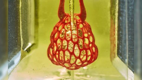When Art Meets Science and Food Coloring, Bioprinting Prospers