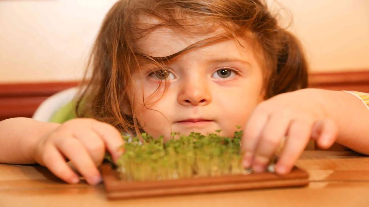 Broccoli Compound May Restore Brain Chemistry Imbalance Linked to Schizophrenia