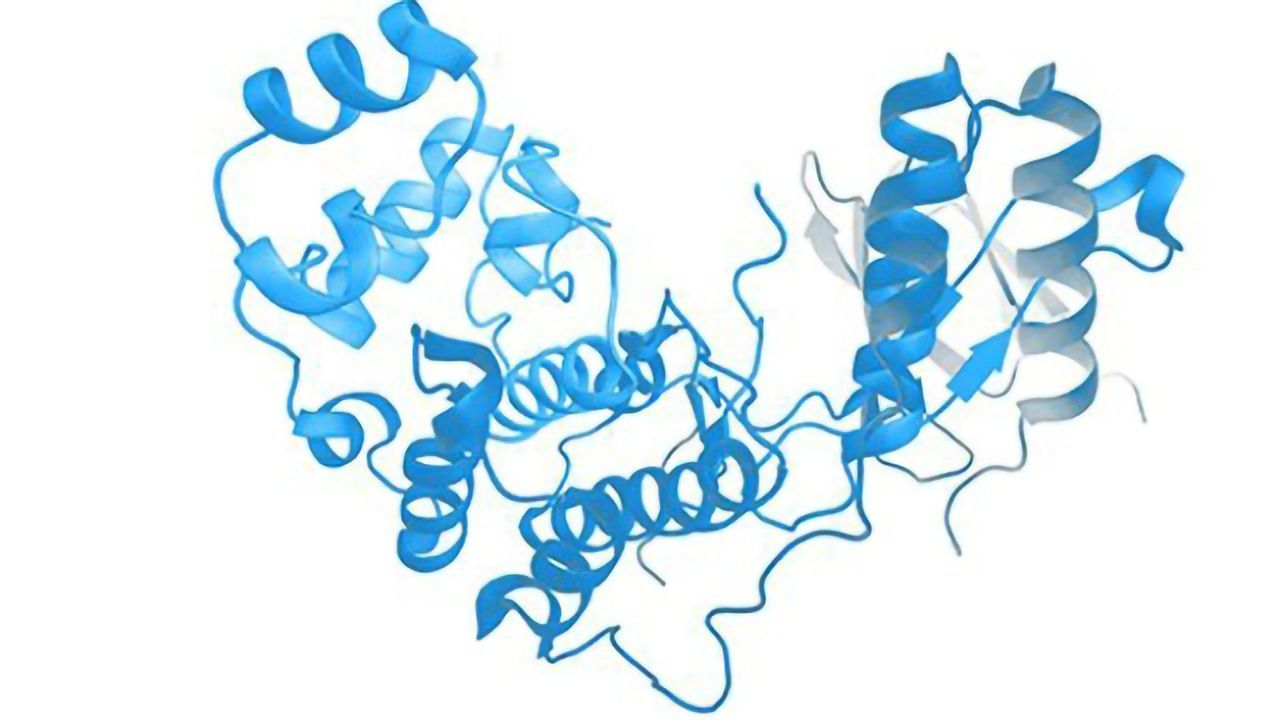 Expedeon AG Adds ELISA-ONE™ Next Generation Cell Signalling Assay Technology to Product Offering