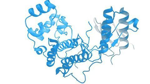 Expedeon AG Adds ELISA-ONE™ Next Generation Cell Signalling Assay Technology to Product Offering