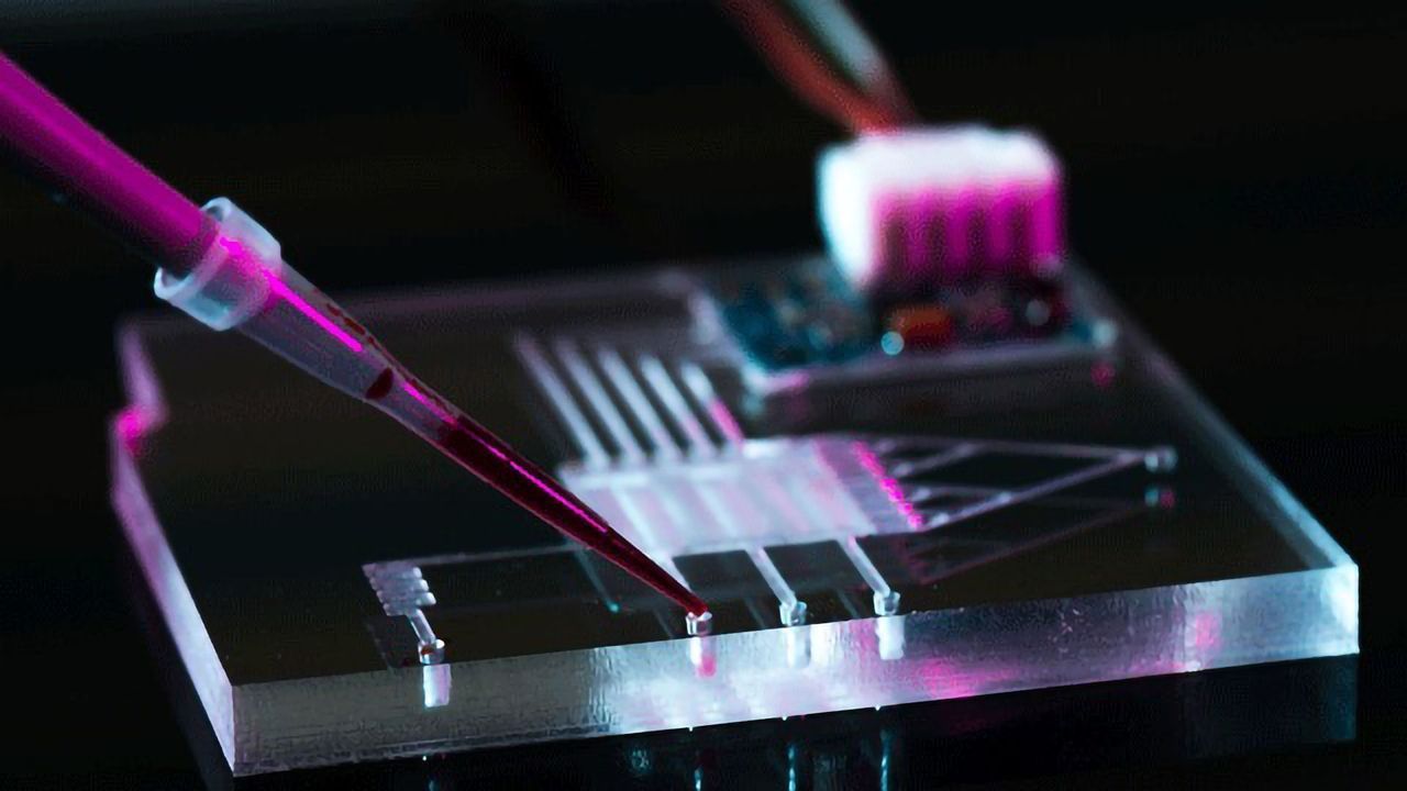 A Microfluidic Valley Is Growing in Europe, and You’re Invited