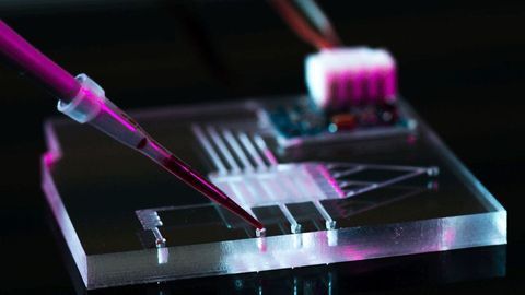 A Microfluidic Valley Is Growing in Europe, and You’re Invited