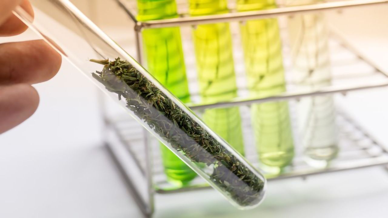 KBL Merger Corp. IV SPAC Announces Non-Binding Term Sheet to Acquire CannBioRx Life Sciences Corp. and its Three Interactive Programs