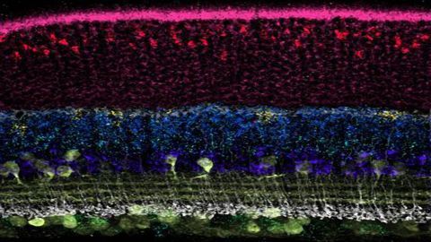 New DNA-nanotechnology Enhances DNA and RNA Analysis