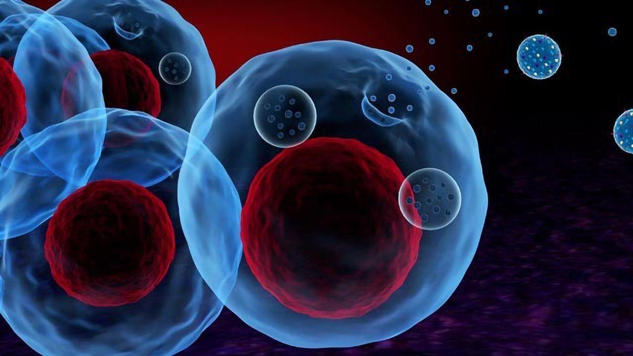 Exosomes: Isolation and Investigation