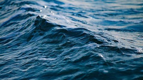 Bonus Discovery Could Help Environmental Cleanup