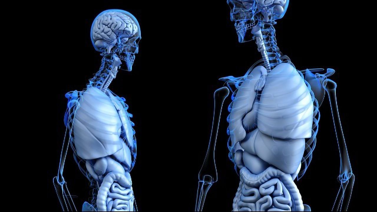Anxiety Might Be Alleviated by Regulating Gut Bacteria
