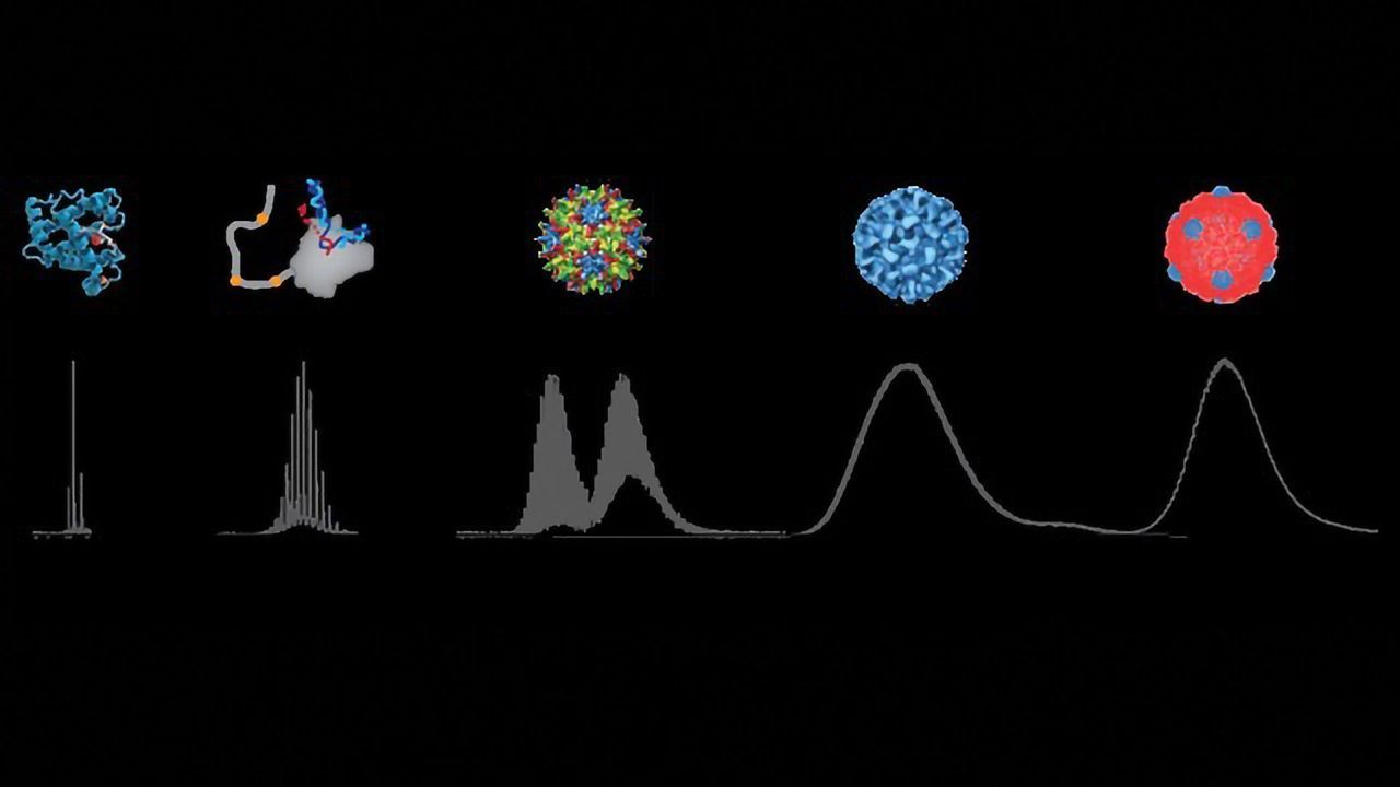 Native Mass Spectrometry: A Glimpse Into the Machinations of Biology