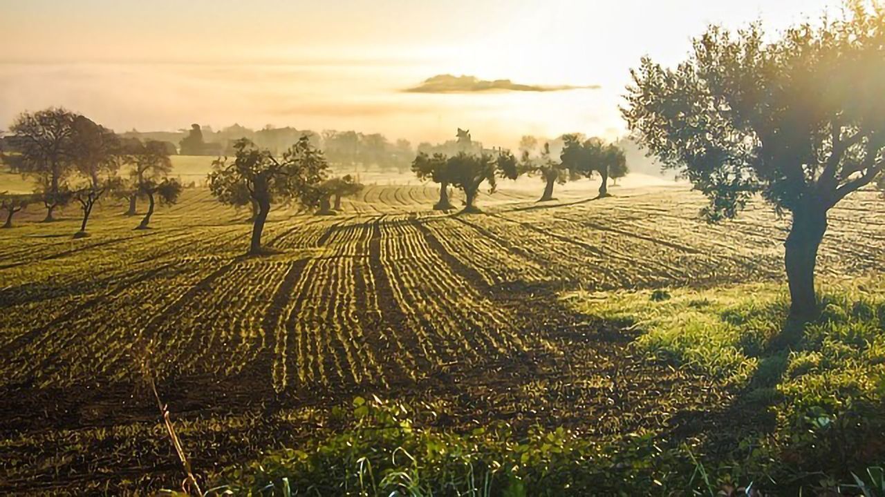 Alternative Pesticide Screening Techniques for the Agricultural Industry