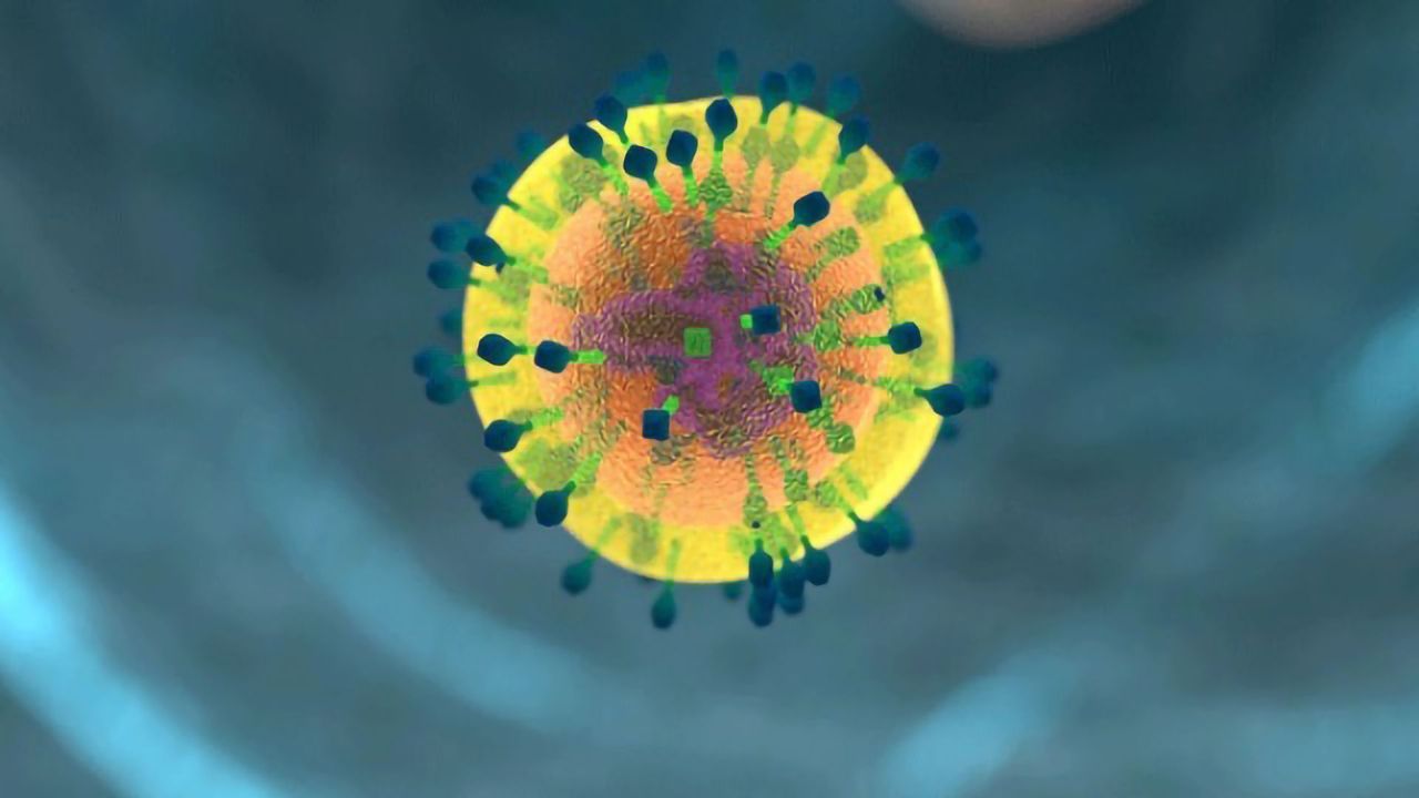A Sophisticated Spectrum Exists in Intestinal Immunity
