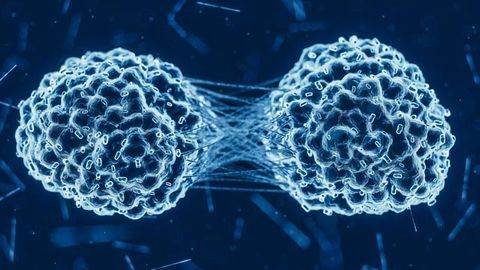 Are We Curing Cancer Yet?