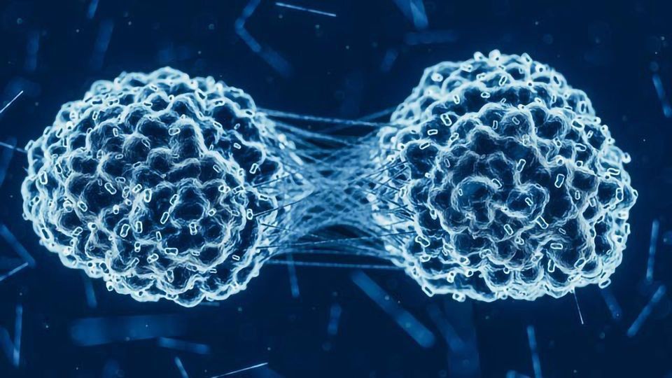 Are We Curing Cancer Yet? content piece image